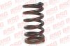 BSG BSG 30-305-002 Coil Spring